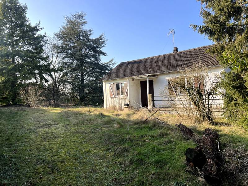 Acheter une petite maison ancienne avec terrain de plus de 2000 m² à Chaumont-en-Vexin (60)